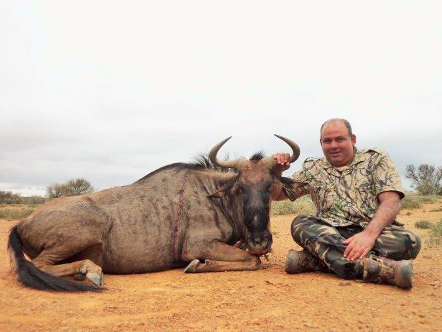 blue_wildebeest_female_hunt.jpg blue_wildebeest_female_hunt.jpg