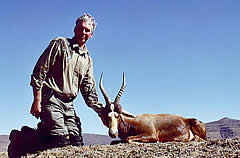 Hunting Blesbuck