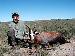 Hunting Blesbuck
