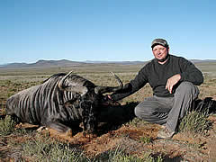 Hunting Blue Wildebeest