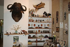 Hunting curios & products