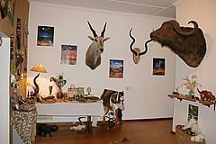 Hunting curios & products