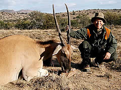 Hunting Eland