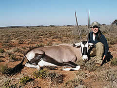 Hunting Gemsbuck