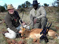 Hunting Impala