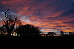 Hunting scenery at Richard Holmes Safaris - a Karoo sunset