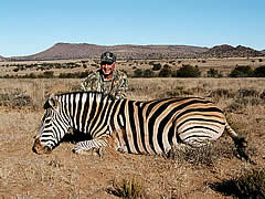 Hunting Zebra