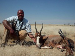 blesbok_common_female.jpg