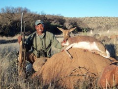 mountain_reedbuck_female.jpg